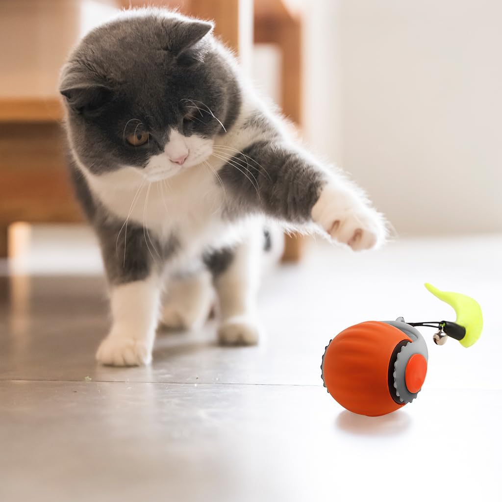 Electric Cat Ball Toy, Cat Teaser Ball Toy with 2 Speed Fun Speedy Chasing with Teasing Tail & Bell Charm Self Entertainment (USB Rechargeable)