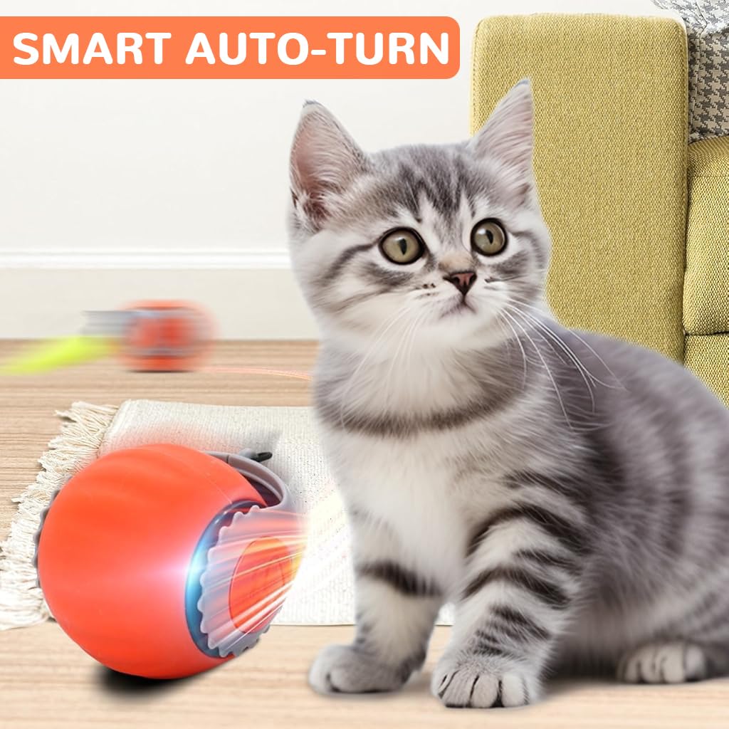 Electric Cat Ball Toy, Cat Teaser Ball Toy with 2 Speed Fun Speedy Chasing with Teasing Tail & Bell Charm Self Entertainment (USB Rechargeable)